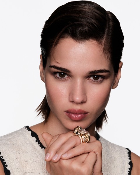Image illustrating Chanel