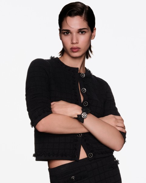 Image illustrating Chanel