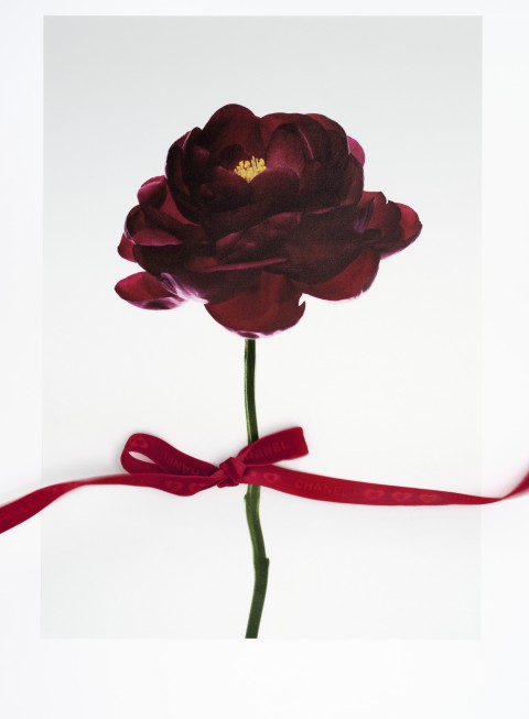 Image illustrating Chanel
