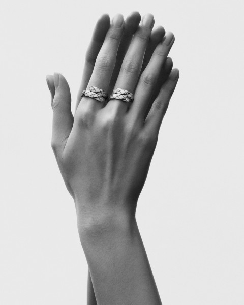 Image illustrating Chanel