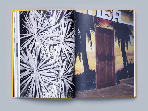 Image illustrating Micha&euml;l Smits