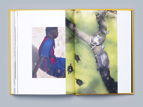 Image illustrating Micha&euml;l Smits