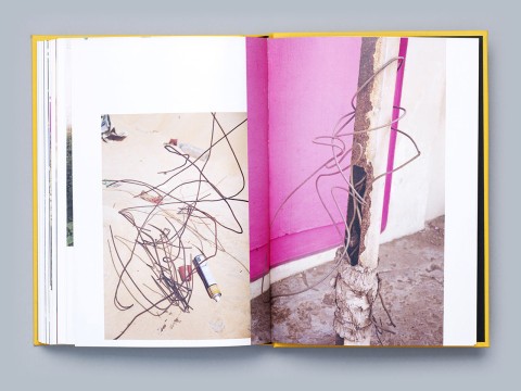 Image illustrating Micha&euml;l Smits