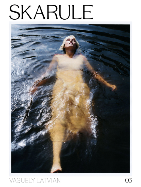 Image illustrating Skarule